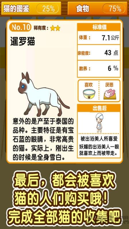 小猫仔咖啡店手游下载,小猫仔咖啡店,猫咪游戏,经营游戏