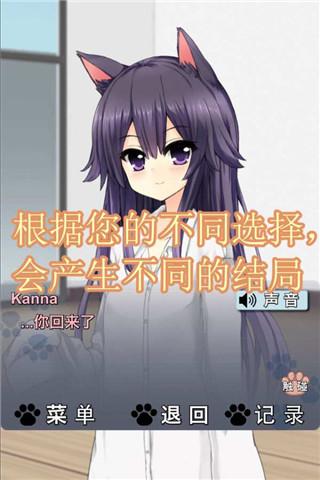 猫耳少女内购破解版下载,猫耳少女,养成游戏,模拟游戏