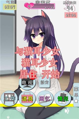 猫耳少女内购破解版下载,猫耳少女,养成游戏,模拟游戏